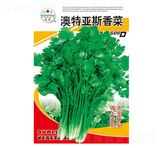 菠菜種子-澳特亞斯菠菜-太樂種業