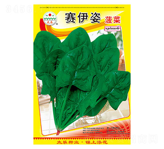 菠菜種子-賽伊姿菠菜-太樂種業