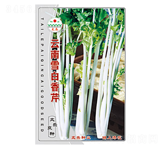 云南雪白香芹-太樂種業