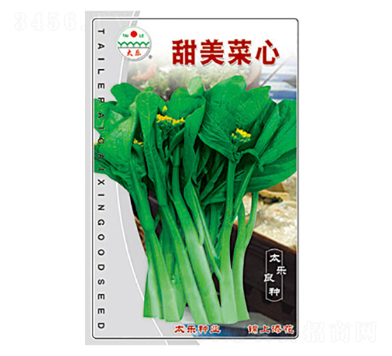 甜美菜心-太樂種業