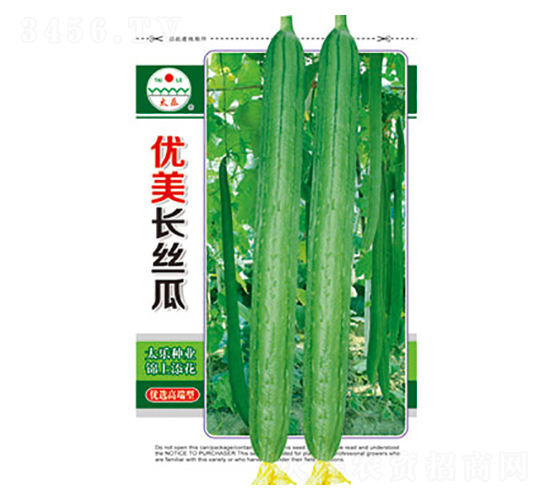 絲瓜種子-優美長絲瓜-太樂種業