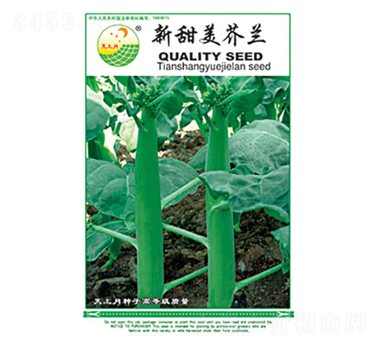 芥蘭種子-新甜美芥蘭-太樂種業