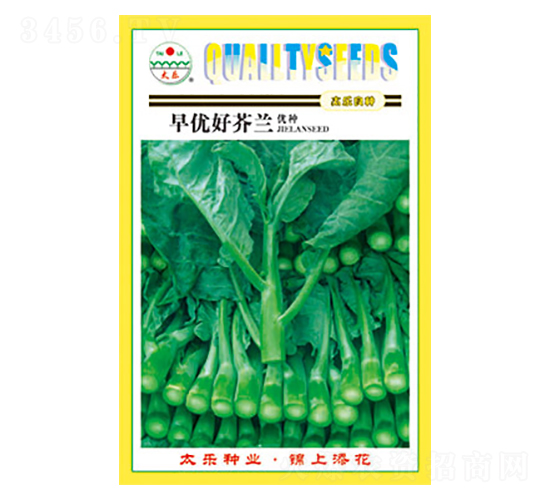 芥蘭種子-早優好芥蘭-太樂種業
