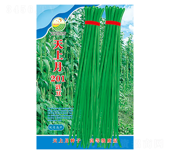 豇豆種子-天上月201-太樂種業