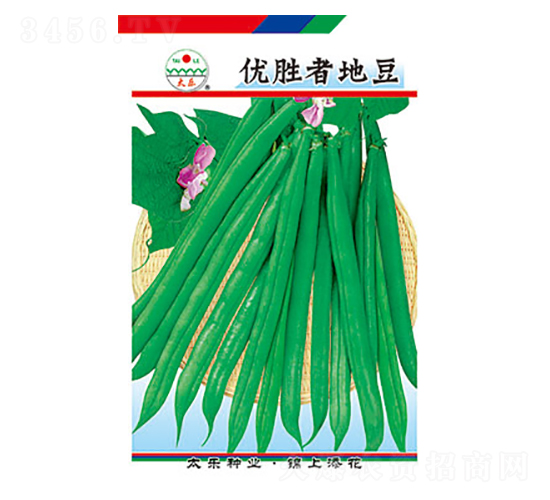 豇豆種子-優勝者地豆-太樂種業