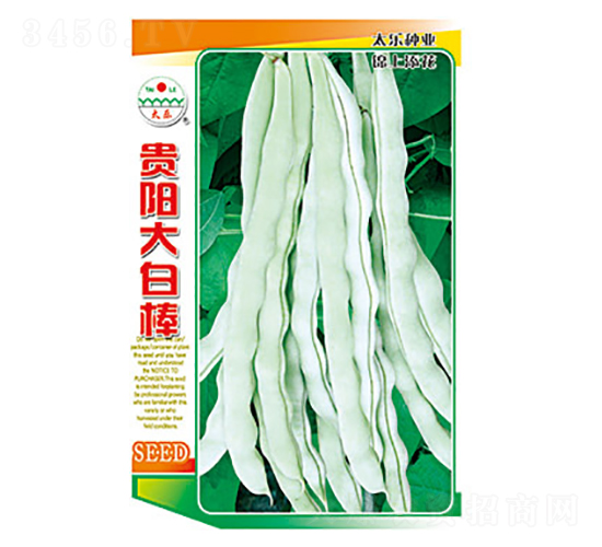 豇豆種子-貴陽大白棒-太樂種業