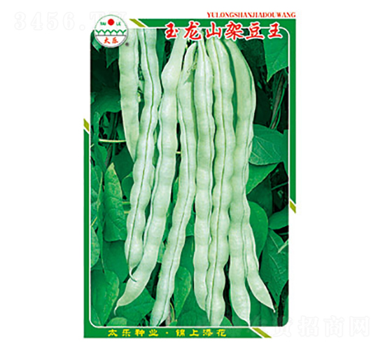 豇豆種子-玉龍山架豆王-太樂種業