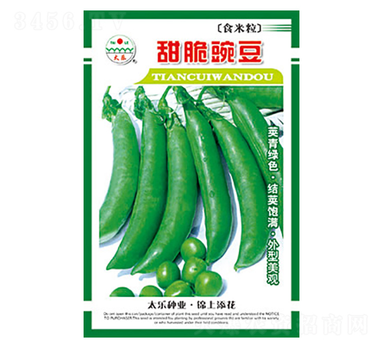 豌豆種子-甜脆豌豆-太樂種業