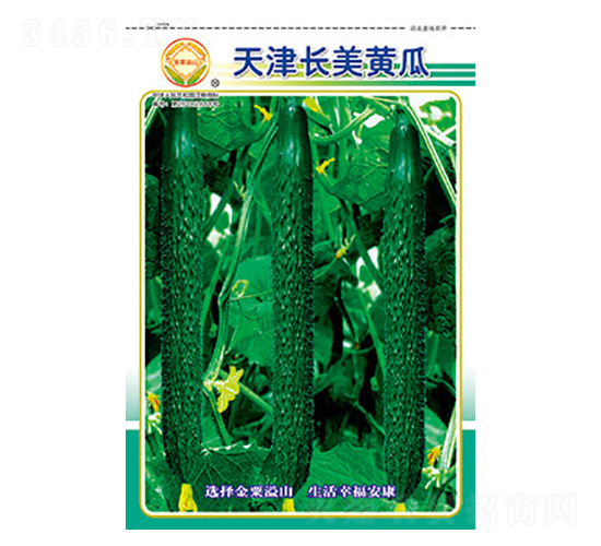 黃瓜種子-天津長美黃瓜-太樂種業