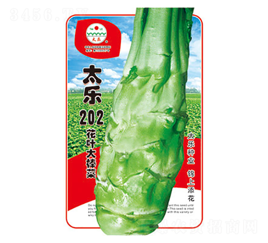 棒菜種子-太樂202-太樂種業
