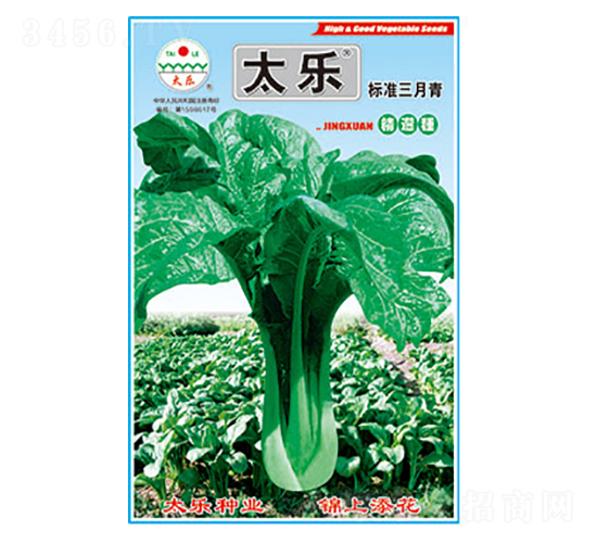 青菜種子-標準三月青-太樂種業