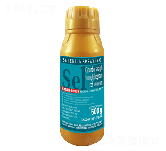 500SֱG1̖-r