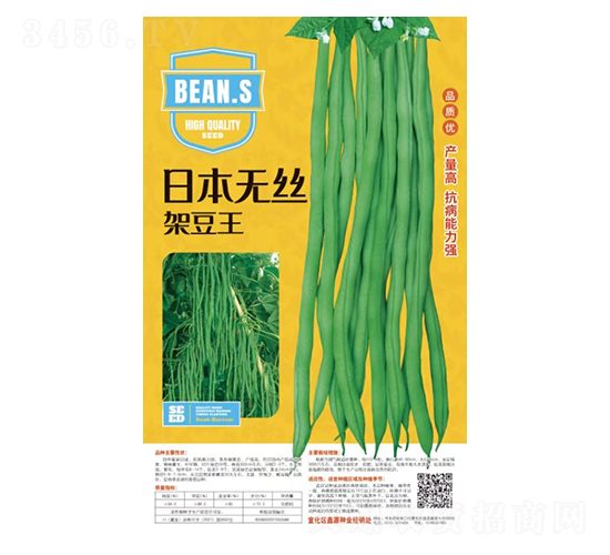日本無絲架豆王-豆角種子-鑫源種業