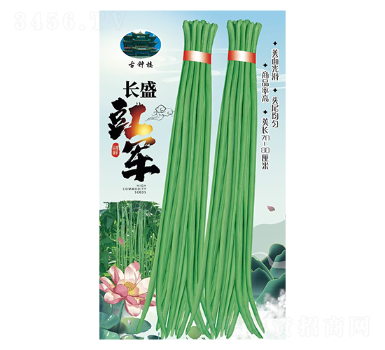 長盛豇軍-豆角種子-鑫源種業