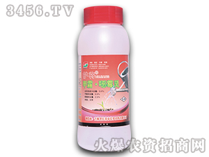 350g˪fù`ˮ-o-Lp