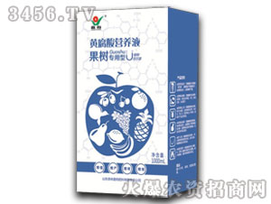 (sh)(zhun)SI(yng)B(yng)Һ-