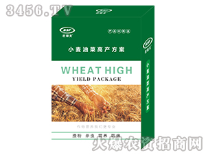 小麥油菜高產方案-笆塞夫