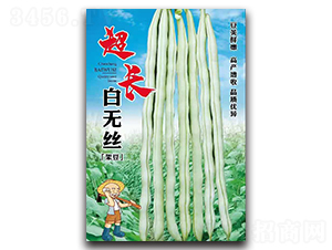 超長(zhǎng)白無(wú)絲-架豆種子-鑫源種業(yè)