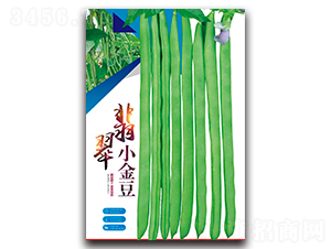 翠翡小金豆-架豆種子-鑫源種業
