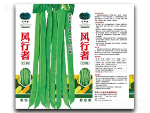 風行者-扁豆種子-鑫源種業