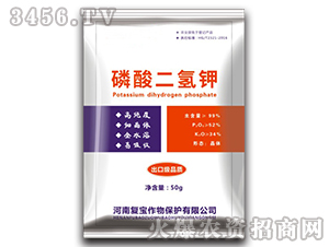 50g-͌