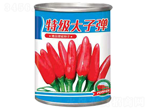 ؼӏ-N-ANI