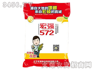 ꏊ572-sN-TNI