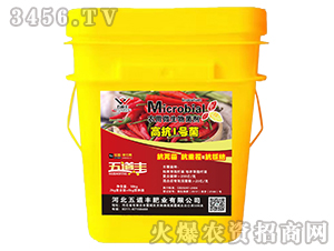 高抗1號菌（農用微生物菌劑）-五道豐