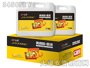 黃腐酸·菌液-巧丹-萬瑞生態