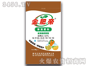 57%長效緩控釋摻混肥料19-19-19-金肥帝-華豐