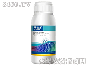 蕓苔素內酯-瑞倍達