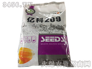 億科209-玉米種子-軒瑞種業