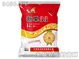 新單33-玉米種子-軒瑞種業