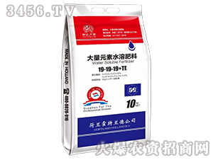 大量元素水溶肥料19-19-19+TE-新農力霸-和瑞化工