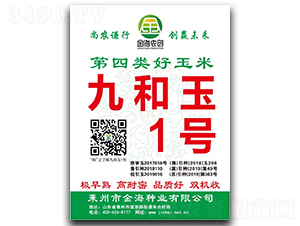 九和玉1號-玉米種子-金海農創