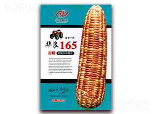 A165-Ŵ׷N-ANI
