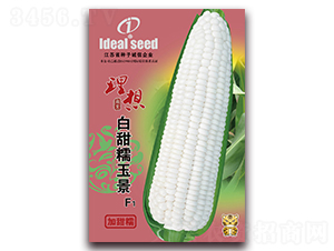 Ŵ-Ŵ׷N-rI