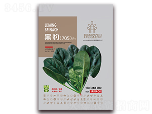 ڱ705-˷N-rI