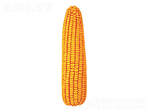 F27̖-׷N-FзNI
