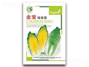 金寶娃娃菜-娃娃菜種子-春潤種業