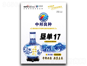 墾單17-玉米種子-中邦農業