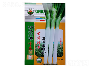 三系金棒177號(hào)-大蔥種子-鑫星農(nóng)業(yè)