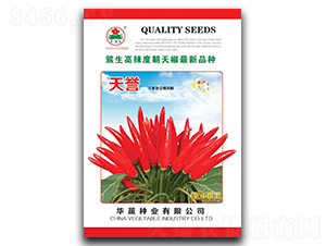 天譽-朝天椒種子-華蔬種業