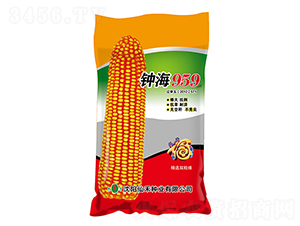 鐘海959（紅袋）-玉米種子-仙禾種業