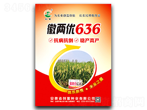 ՃɃ636-ˮN-NI