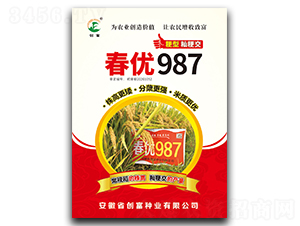 987-ˮN-NI