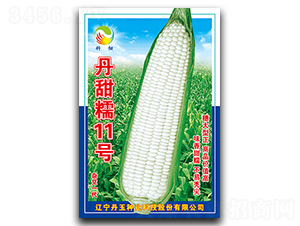 Ŵ11̖-Ŵ׷N-NI