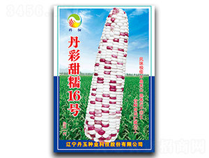 Ŵ16̖-Ŵ׷N-NI