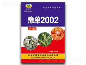 豫單2002-玉米種子-豫鑫種業