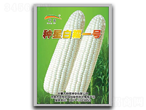 NǰŴ1̖-Ŵ׷N-NǷNI